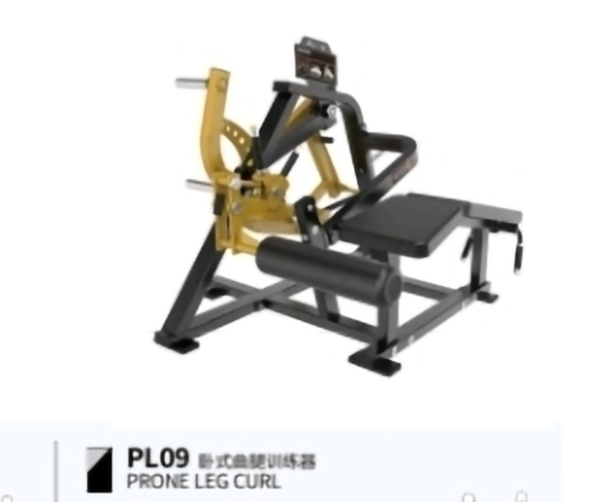 PRONE LEG CURL BRTW PL09